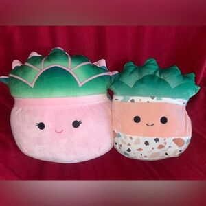 Squishmallow Succulents Afiyah 14”  NWT & Abena 12” NWOT Bundle